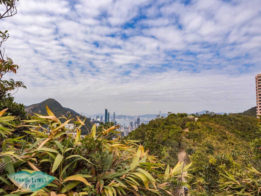 view before the top of wilson trail violet hill hong kong island hong kong - laugh travel eat