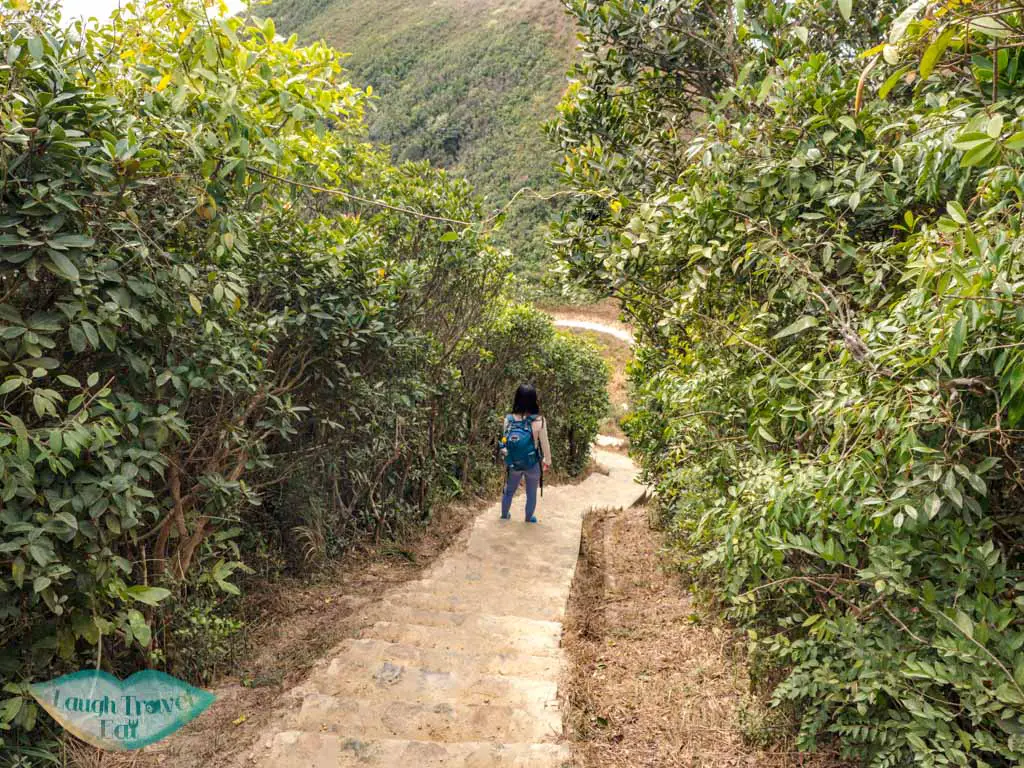 wilson trail violet hill to twins peak trail start hong kong island hong kong - laugh travel eat-2