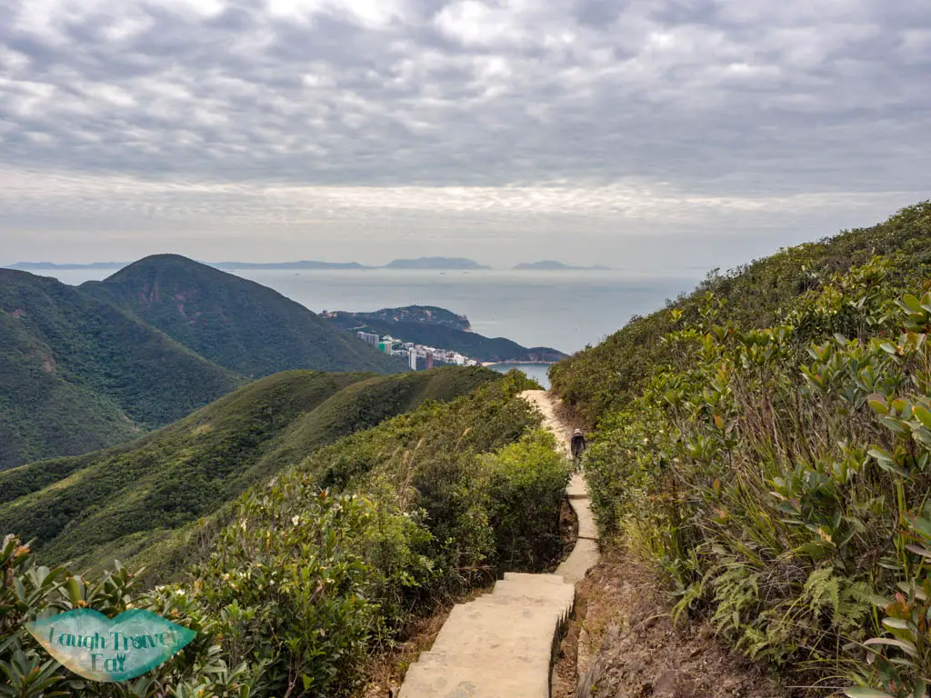 wilson trail violet hill to twins peak trail start hong kong island hong kong - laugh travel eat-2