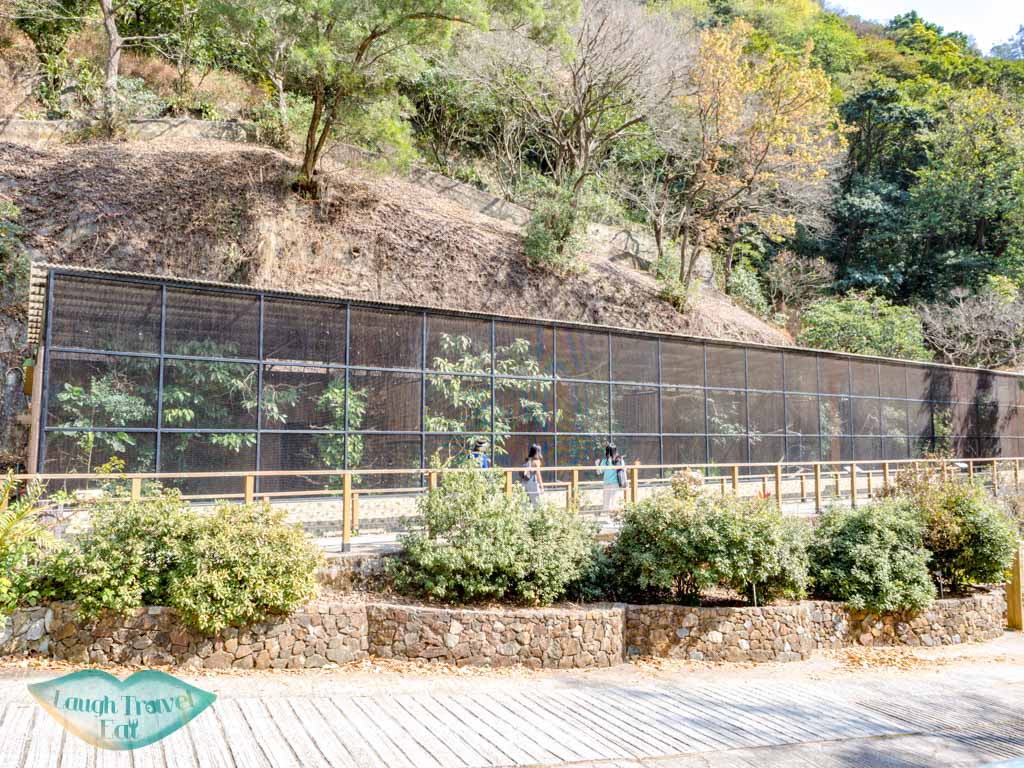 Jim Ades Raptor Sanctuary lower nature reserve kadoorie farm tai po hong kong - laugh travel eat