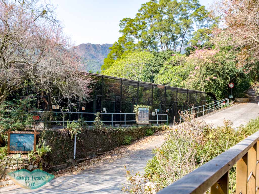 Jim Ades Raptor Sanctuary lower nature reserve kadoorie farm tai po hong kong - laugh travel eat