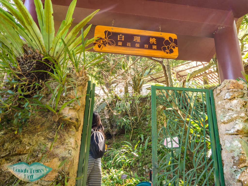 The Gloria Barretto Orchid Sanctuary lower nature reserve kadoorie farm tai po hong kong - laugh travel eat