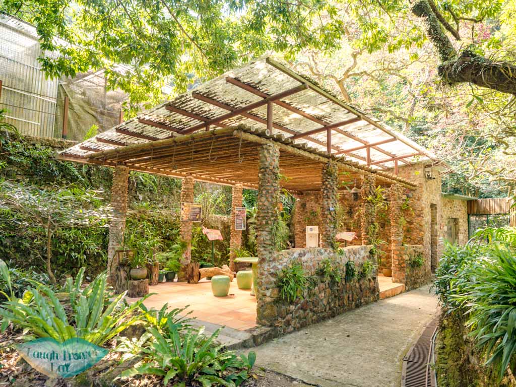 The Gloria Barretto Orchid Sanctuary lower nature reserve kadoorie farm tai po hong kong - laugh travel eat