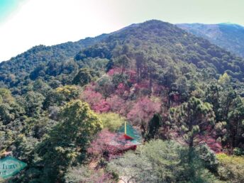 drone shot T.S. Woo Pavilion kadoorie farm tai po hong kong - laugh travel eat