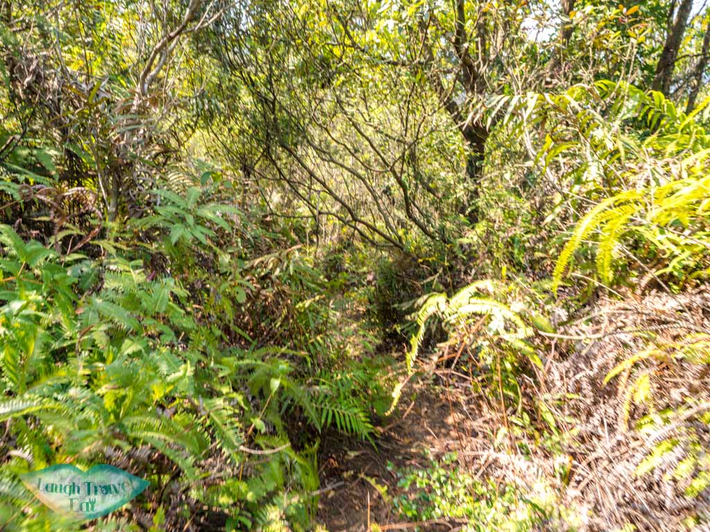 panorama unanmed peak to shek uk shan sai kung hong kong - laugh travel eat