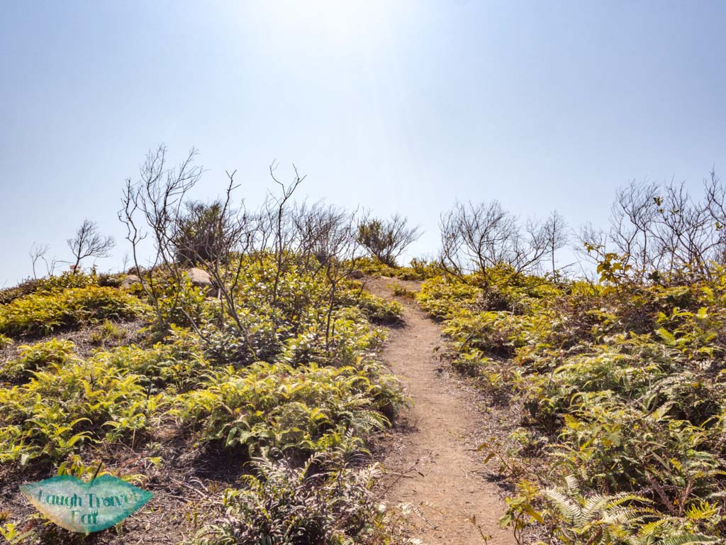 panorama unanmed peak to shek uk shan sai kung hong kong - laugh travel eat