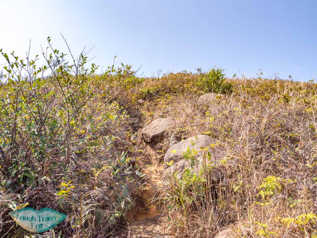 from unanmed peak to shek uk shan sai kung hong kong - laugh travel eat