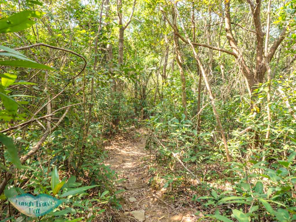 lo fu kei shek tiger climb rock to unanmed peak shek uk shan sai kung hong kong - laugh travel eat