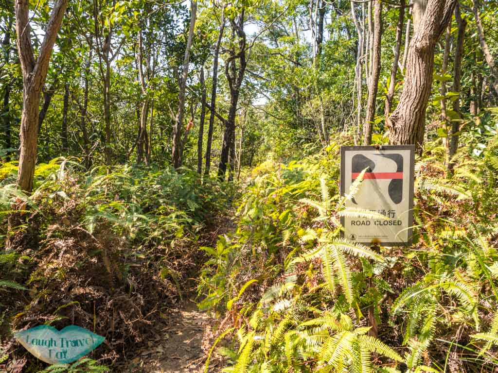 lo fu kei shek tiger climb rock to unanmed peak shek uk shan sai kung hong kong - laugh travel eat