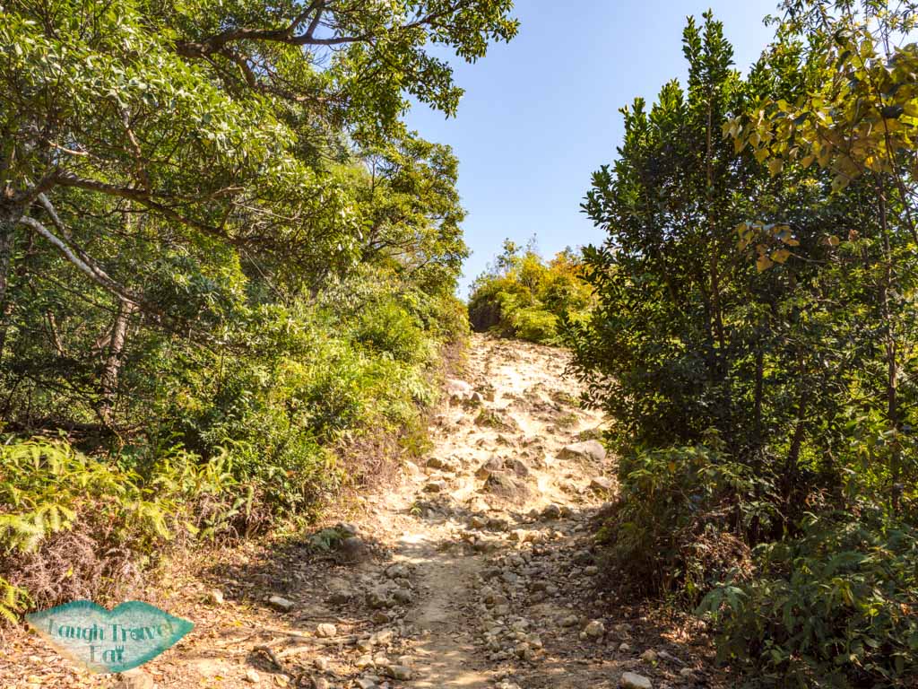 maclehose trail stage 3 cheung sheung sai kung hong kong - laugh travel eat