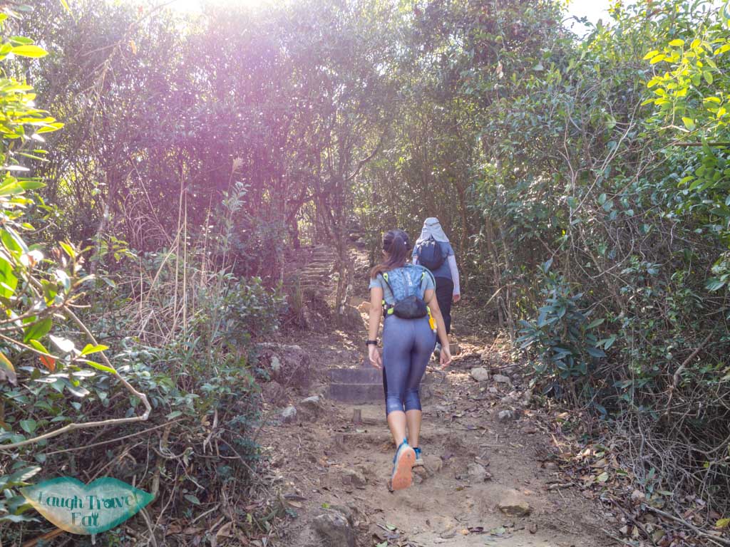 on the way up pak sin leng pak sin leng nature trail tai po new territories hong kong - laugh travel eat
