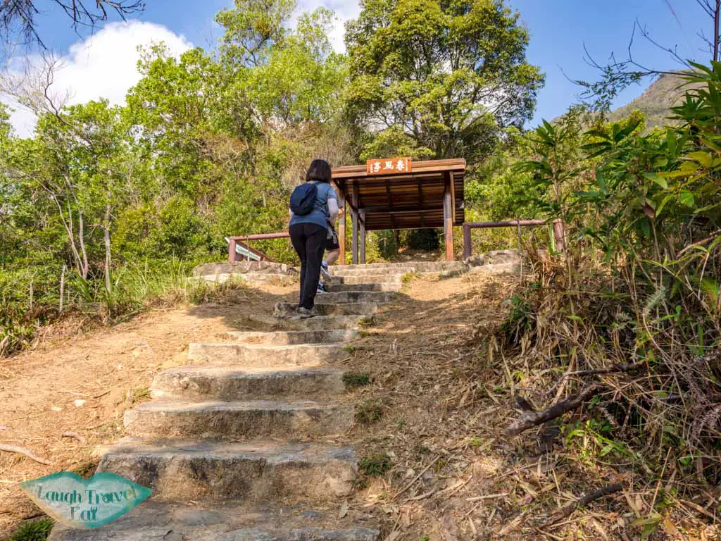 pak sin leng country trail first part tai po new territories hong kong - laugh travel eat
