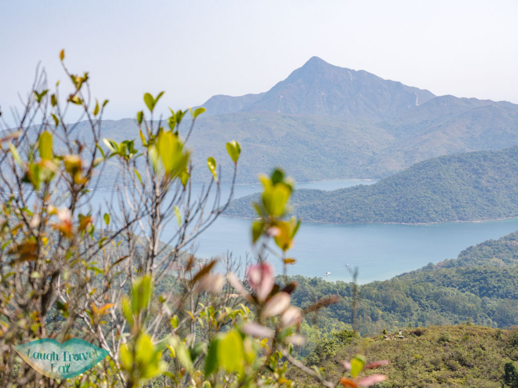 view of sharp peak from unanmed peak to shek uk shan sai kung hong kong - laugh travel eat
