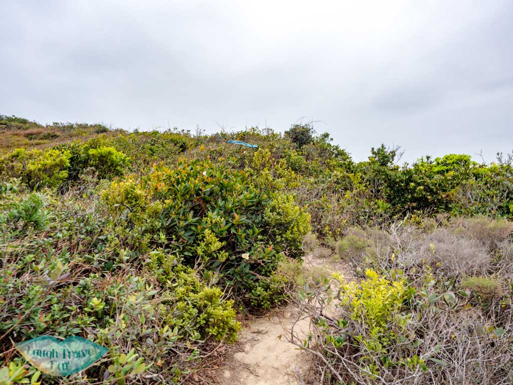 Long ke tsai to tsang pang kok tsui sai kung hong kong - laugh travel ea