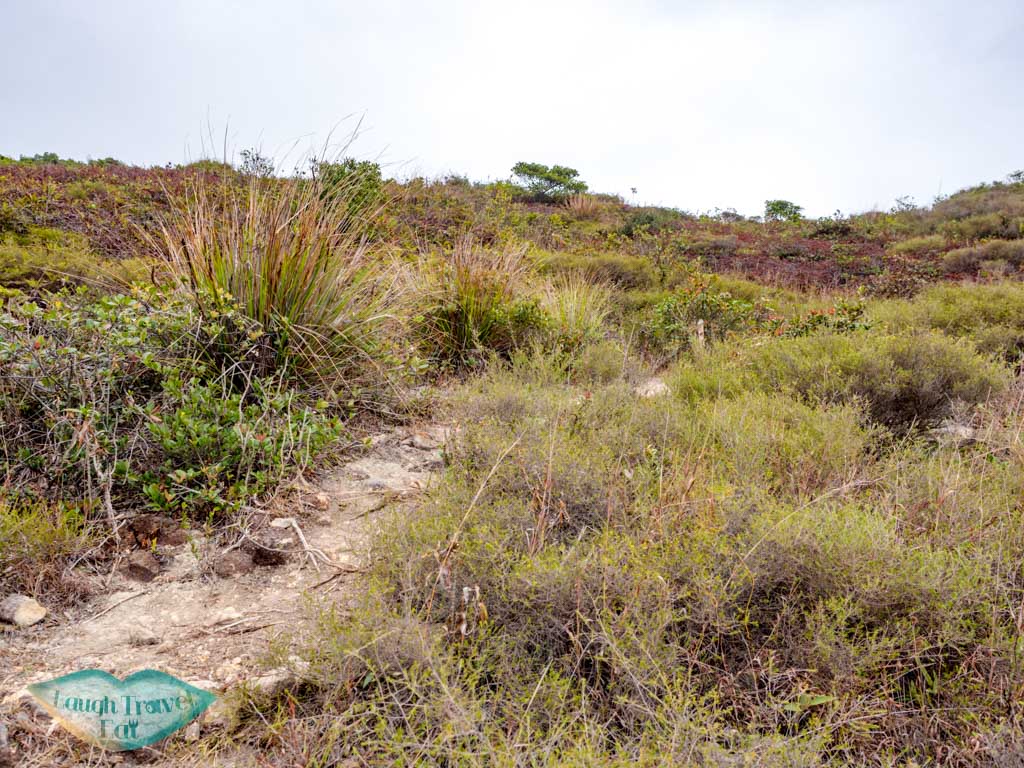 Long ke tsai to tsang pang kok tsui sai kung hong kong - laugh travel eat
