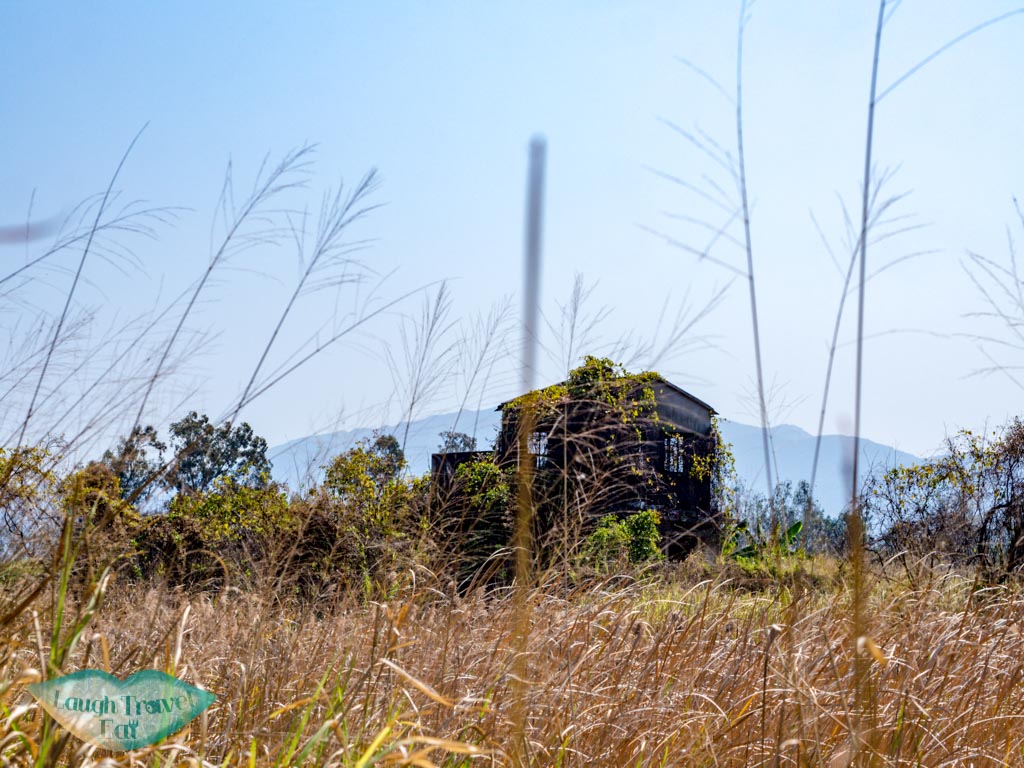 abandoned building in nam sang wai road yuen long hong kong - laugh travel eat