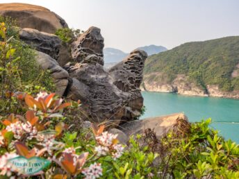 devil's claw chung hom kok hong kong - laugh travel eat