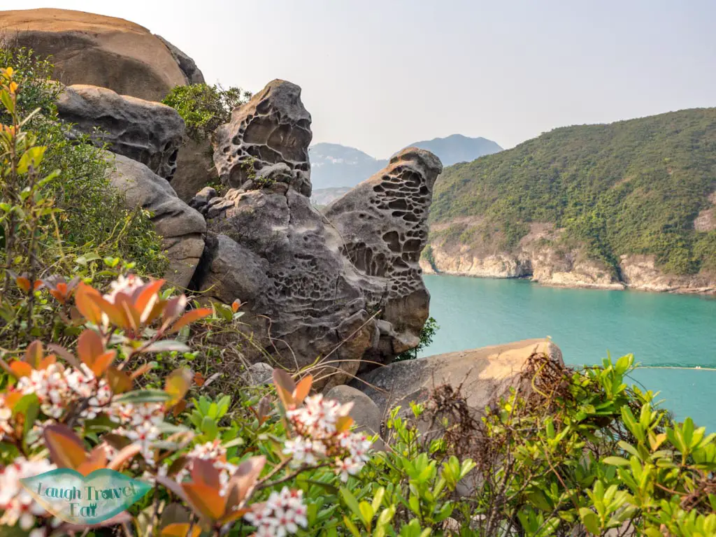 devil's claw chung hom kok hong kong - laugh travel eat