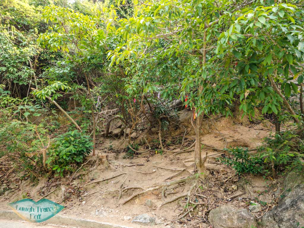 direct-to-devils-claw-chung-hom-kok-road-hong-kong-laugh-travel-eat