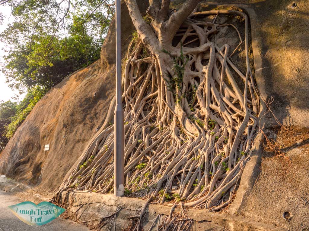 direct-to-devils-claw-chung-hom-kok-road-hong-kong-laugh-travel-eat