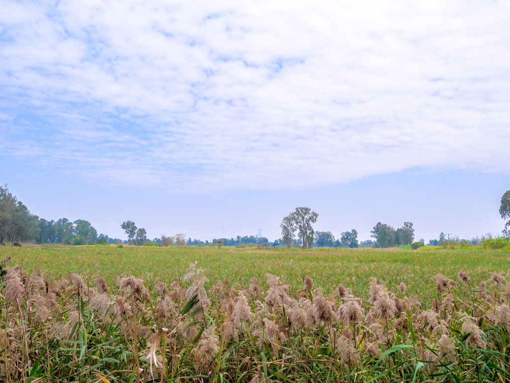 nam sang wai hong kong - laugh travel eat