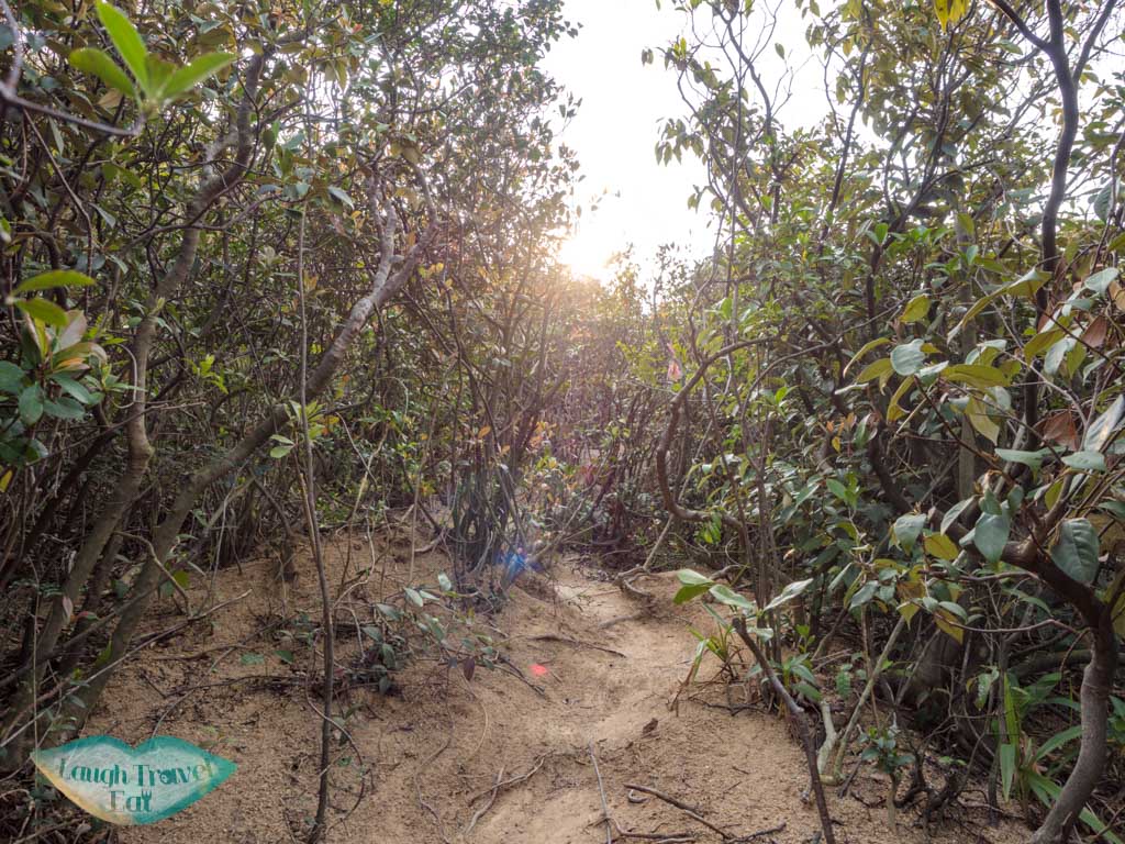 other-big-rock-to-chung-hom-kok-hong-kong-laugh-travel-eat