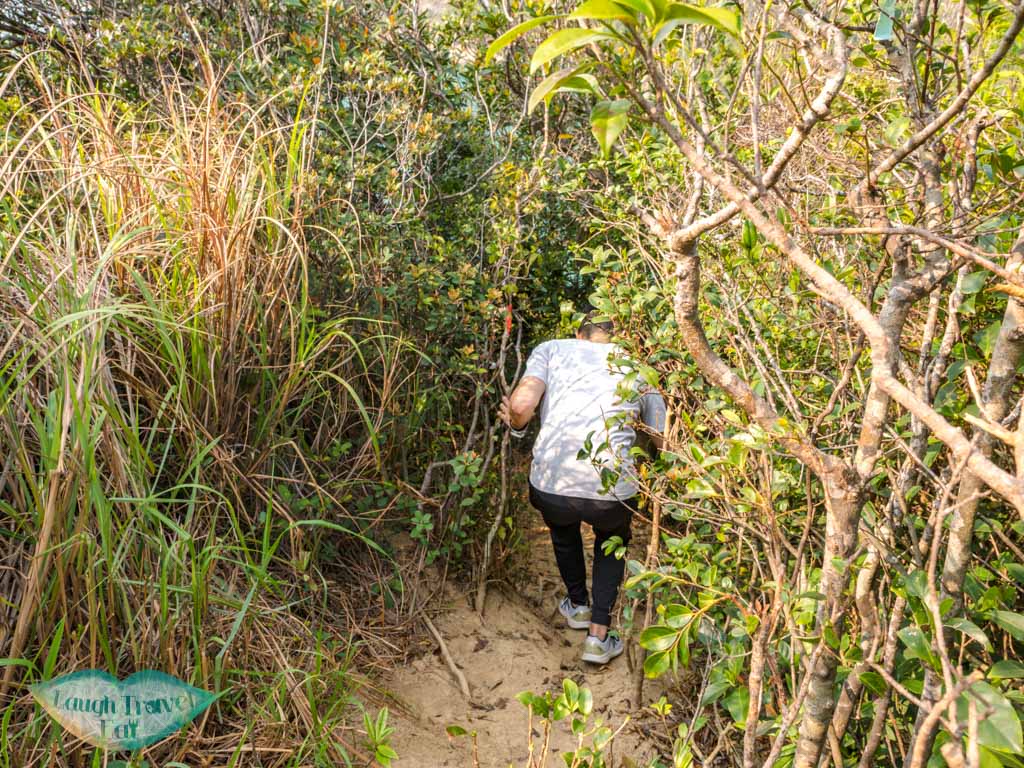 second peak to devil's claw chung hom kok hong kong - laugh travel eat-2