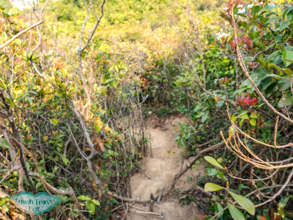 second-peak-to-devils-claw-chung-hom-kok-hong-kong-laugh-travel-eat