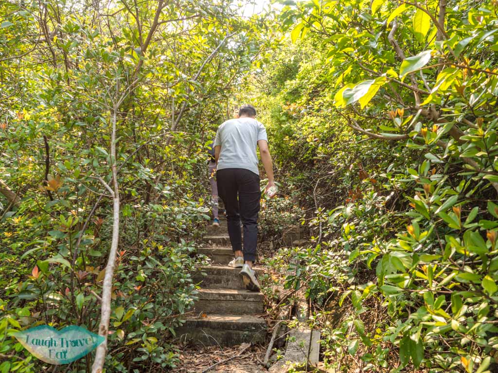 trail start to first peak devil's claw chung hom kok hong kong - laugh travel eat