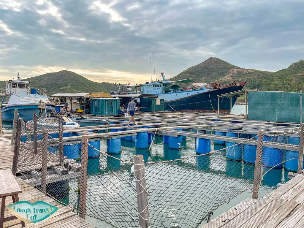 fishing pond Lamma Fisherfolk's Village lamma rainbow seafood restaurant sok kwu wan lamma island hong kong island hong kong - laugh travel eat