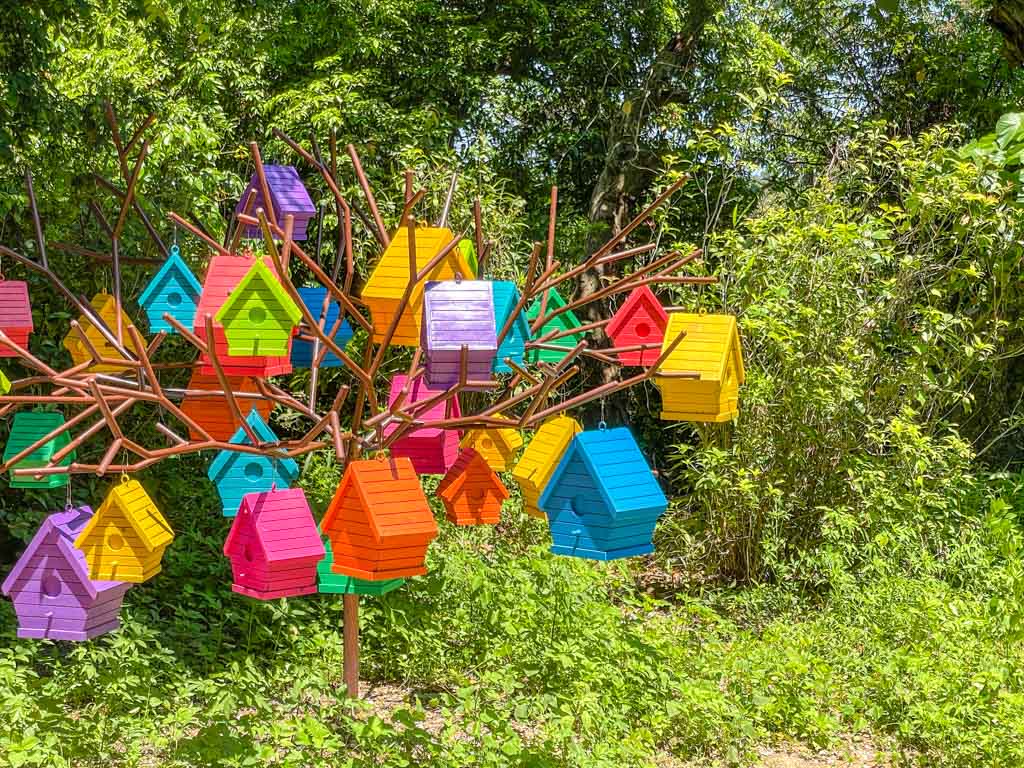 house hanging on tree yim tin tsai sai kung hong kong - laugh travel eat