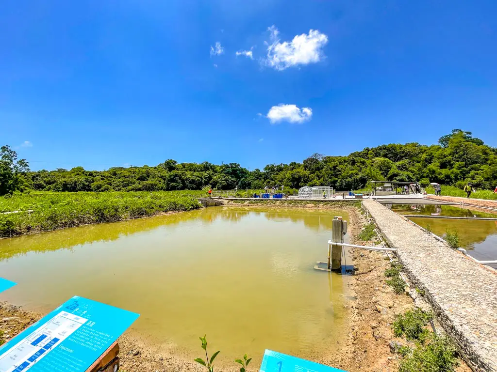 salt pan yim tin tsai sai kung hong kong - laugh travel eat