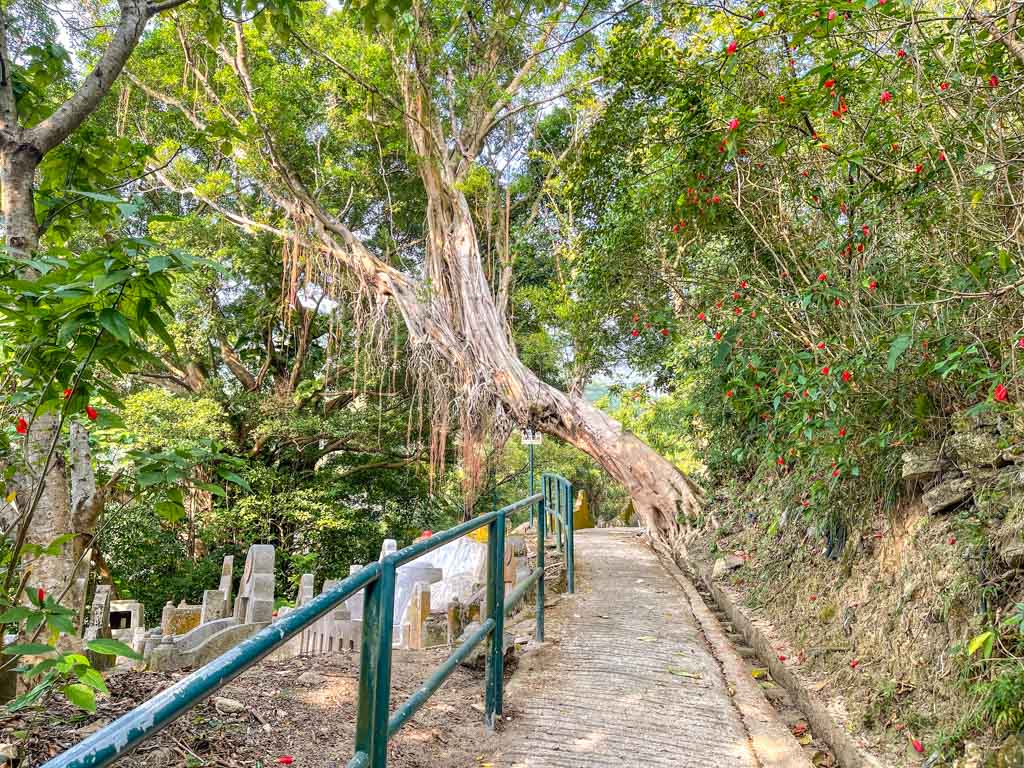 Diamond Hill Urn Cementary to Hollow Tree shark rock kowloon hong kong - laugh travel eat