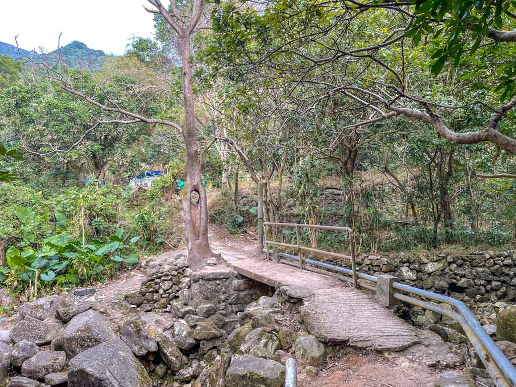 Hollow Tree shark rock kowloon hong kong - laugh travel eat