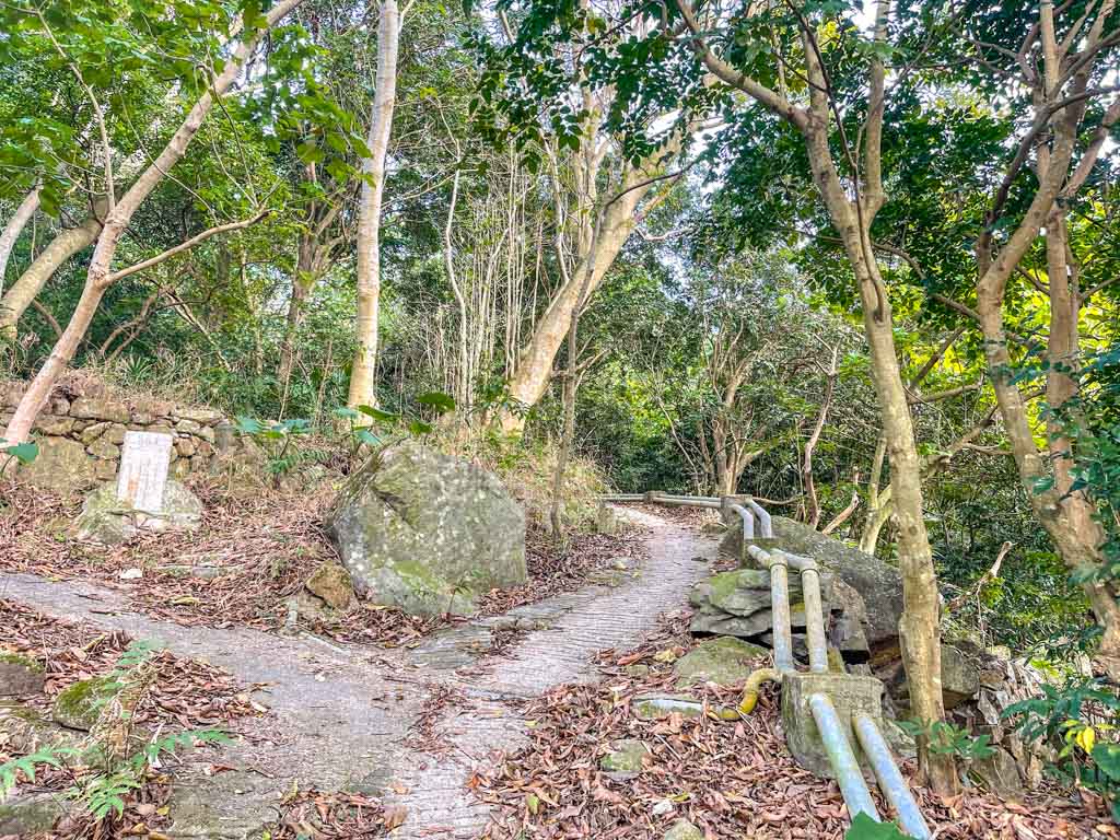 Hollow Tree to shark rock kowloon hong kong - laugh travel eat