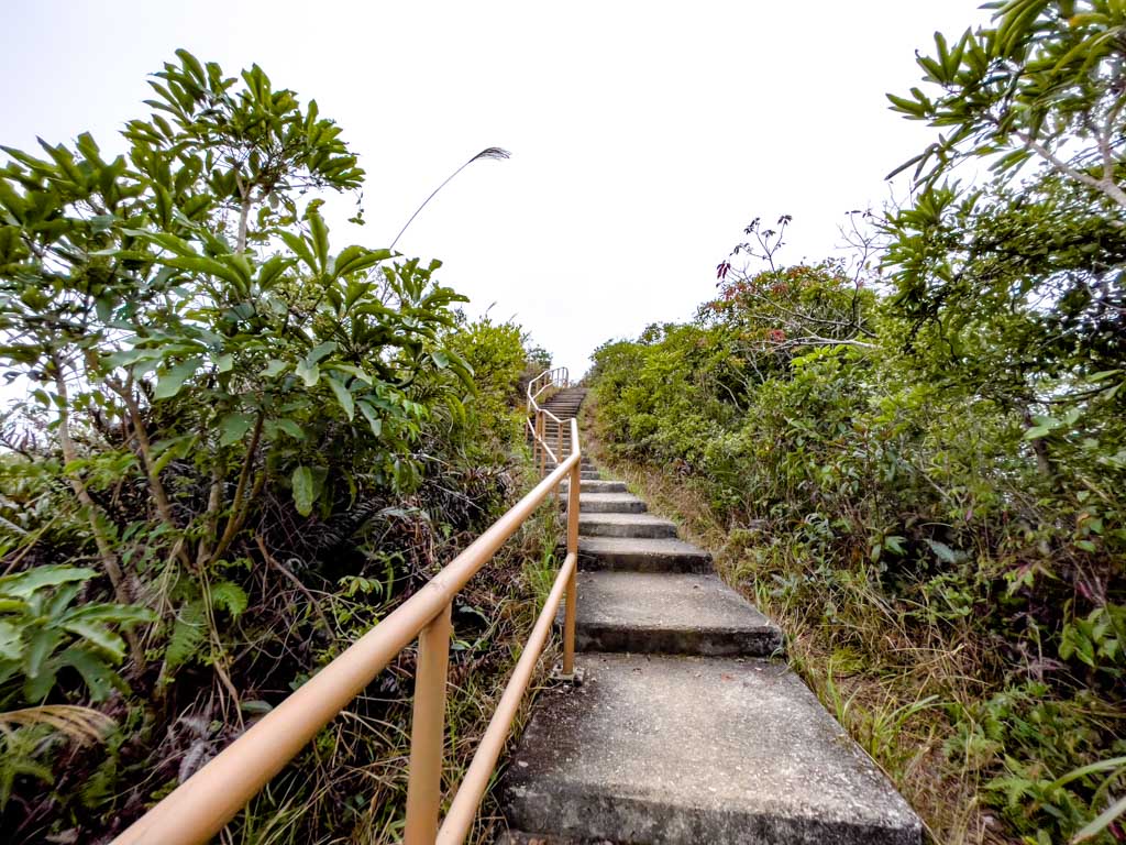 cloudy hill down wilson trail section 8 hong kong - laugh travel eat