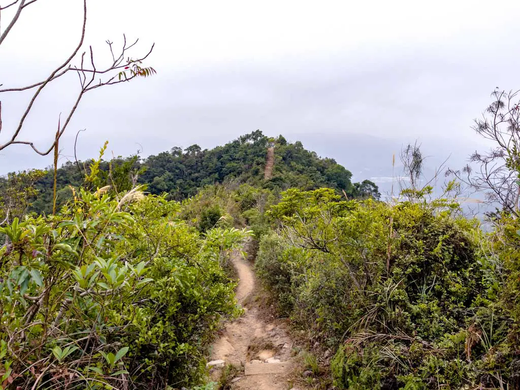 cloudy hill down wilson trail section 8 hong kong - laugh travel eat