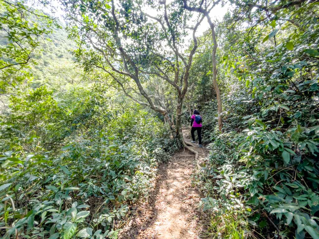 dam to top of ngau wu reservoir Ma On Shan hong kong - laugh travel eat