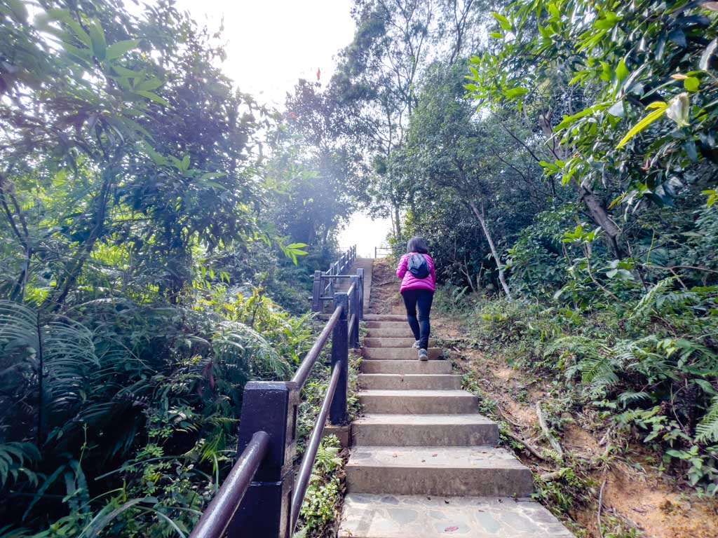 going up to pavilion ngau wu reservoir Ma On Shan hong kong - laugh travel eat