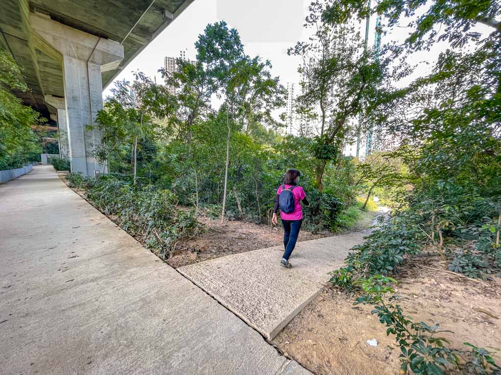 ngau wu reservoir out to kam ying court estate Ma On Shan hong kong - laugh travel eat