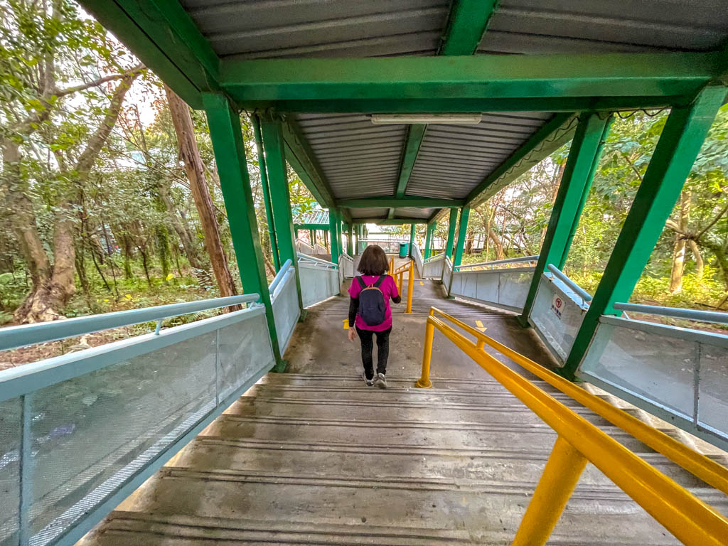 ngau wu reservoir out to kam ying court estate Ma On Shan hong kong - laugh travel eat-4