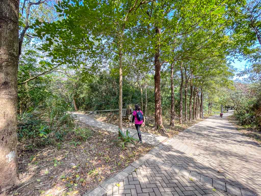 ngau wu reservoir out to kam ying court estate Ma On Shan hong kong - laugh travel eat