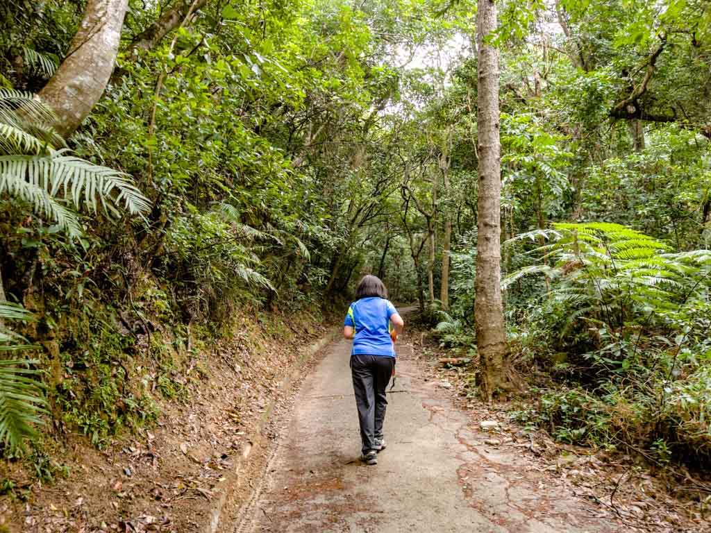 past Kat Tsai Shan Au lau shui heung country trail hong kong - laugh travel eat