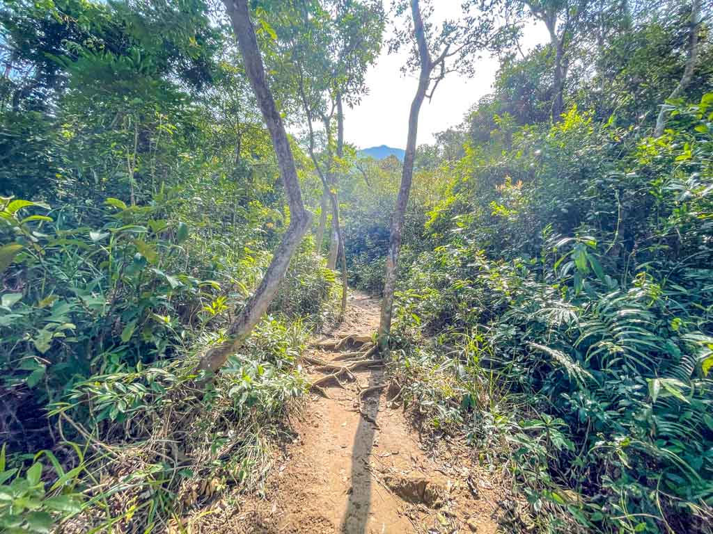 pavilion to ngau wu reservoir Ma On Shan hong kong - laugh travel eat