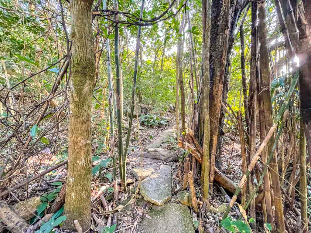 shark rock to Jat's Incline kowloon hong kong - laugh travel eat