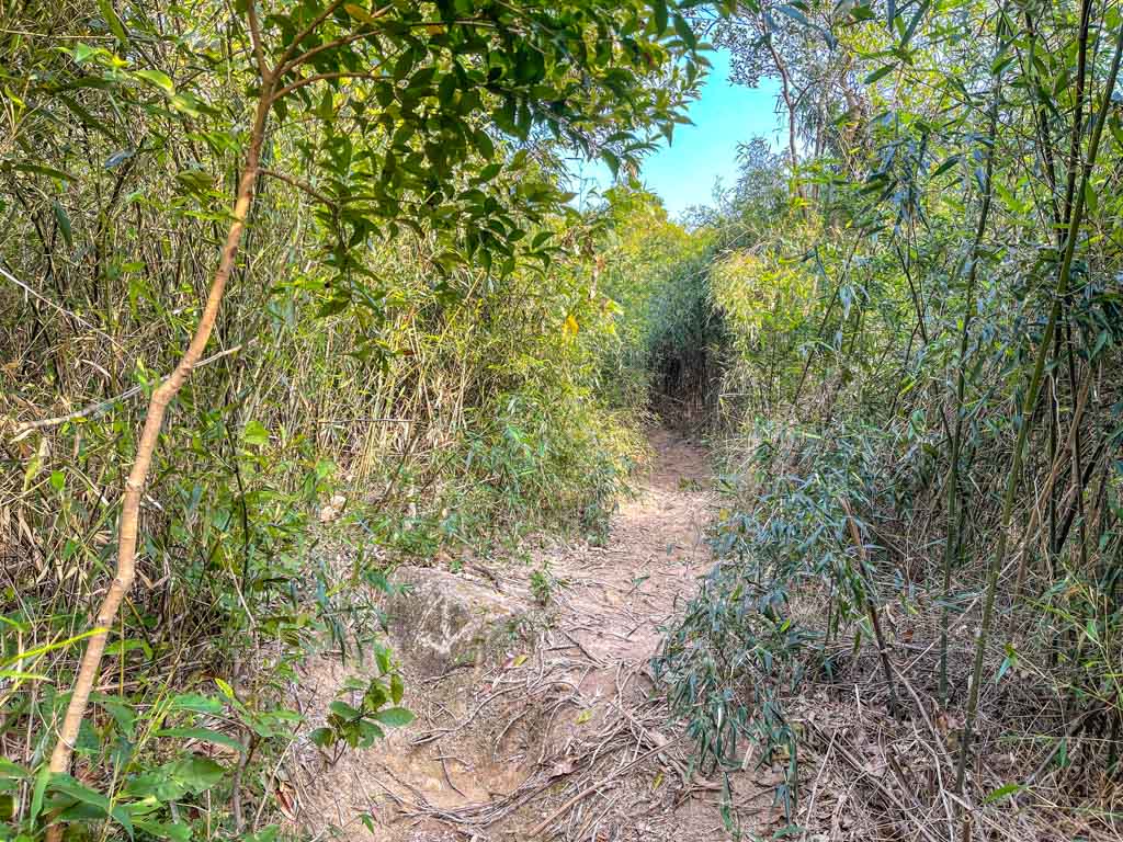 shark rock to Jat's Incline kowloon hong kong - laugh travel eat