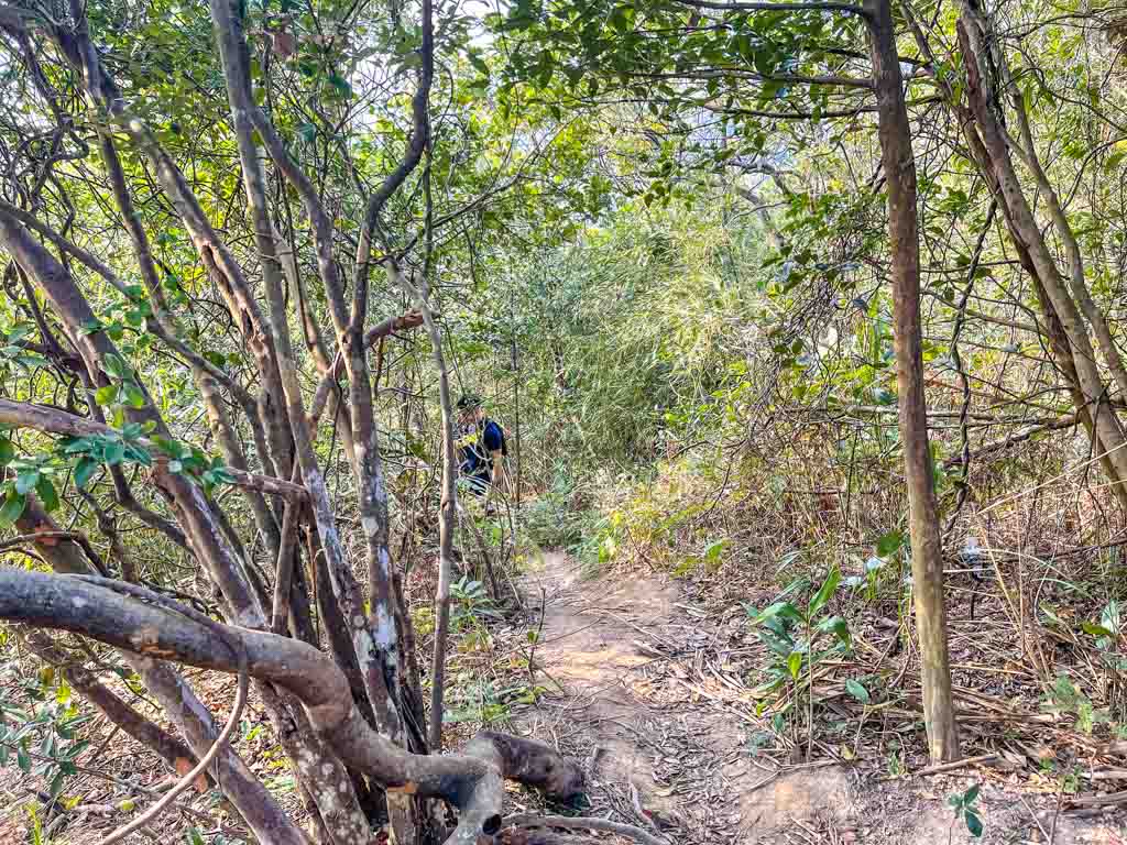 shark rock to Jat's Incline kowloon hong kong - laugh travel eat