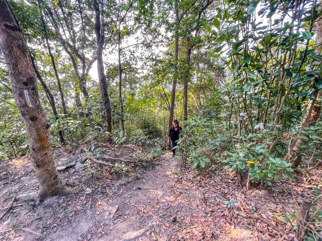 shark rock to Jat's Incline kowloon hong kong - laugh travel eat