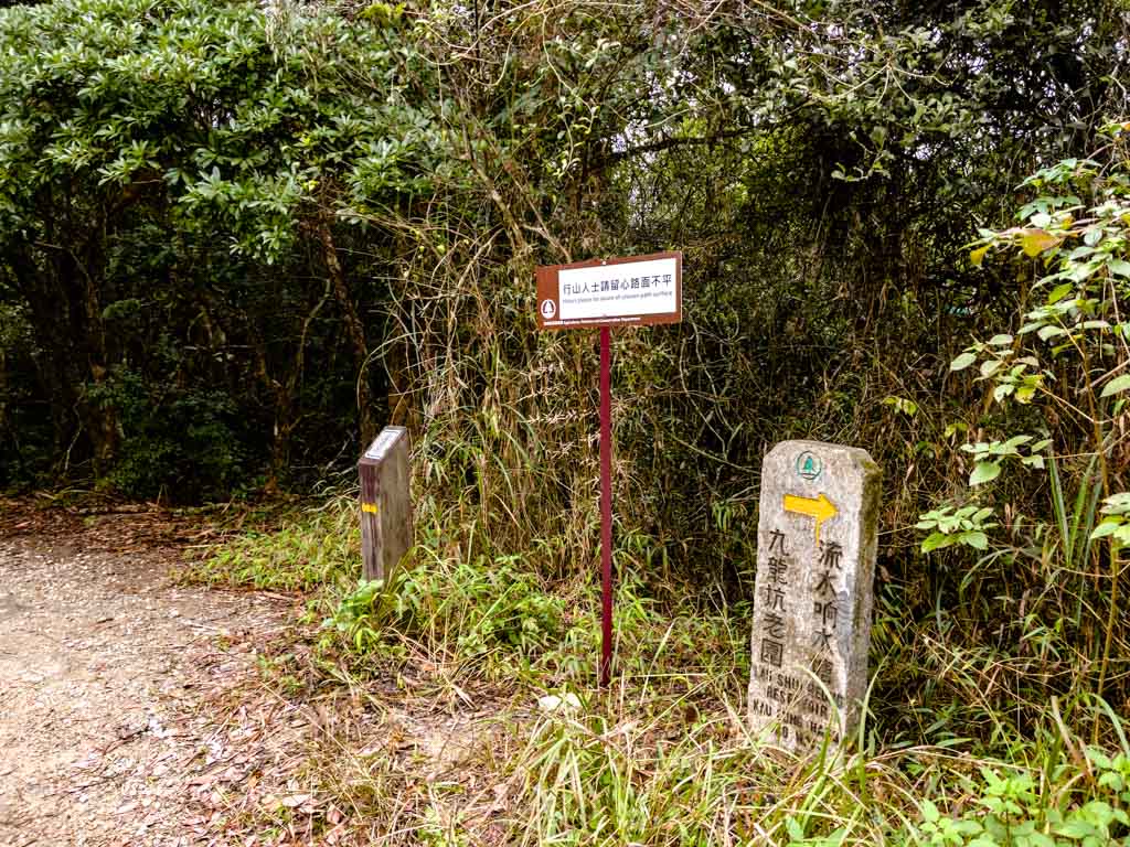 wilson trail section 9 from lau shui heung to cloudy hill hong kong - laugh travel eat