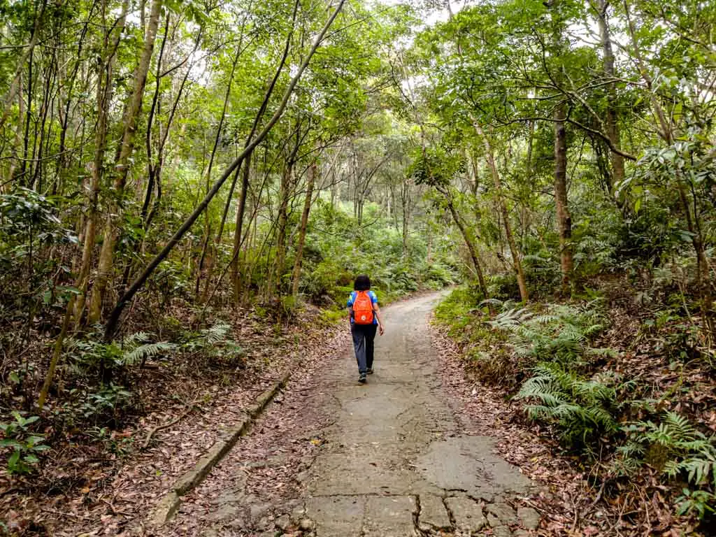 wilson trail section 9 from lau shui heung to cloudy hill hong kong - laugh travel eat
